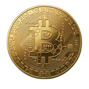 BitcoinGold (BTGS) logo